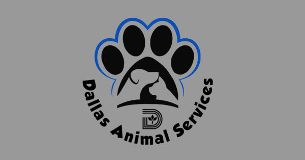 City names new Director of Dallas Animal Services