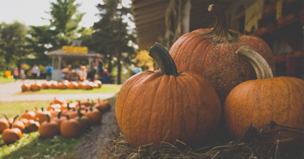 Dallas Park and Recreation to host Pumpkins on the Plaza