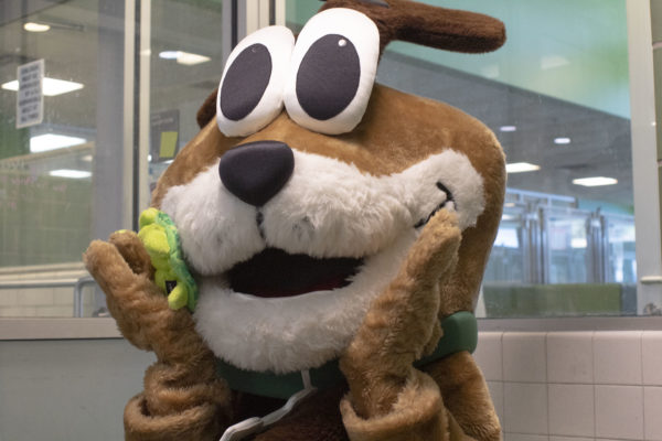 Dallas Animal Services’ mascot adopted by VCA Animal Hospitals