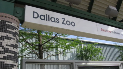 Dallas Zoo celebrates first-ever millionth visitor