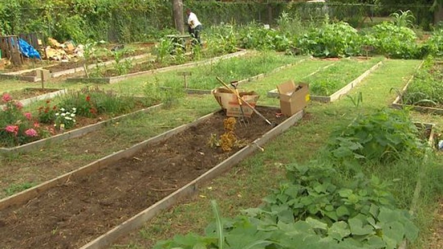 COMMUNITY GARDEN GRANT: GROWING ORGANIC, SAVING WATER AND FEEDING THE HUNGRY