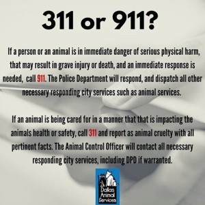 311 or 911 graphic