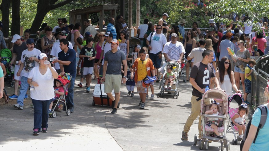 Dallas Zoo sets sixth straight attendance record