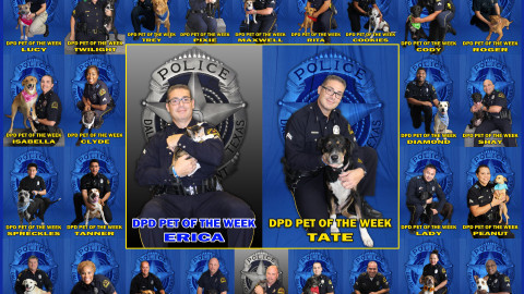 Dallas Police Department enjoys 100 percent success rate in finding homes for furry friends