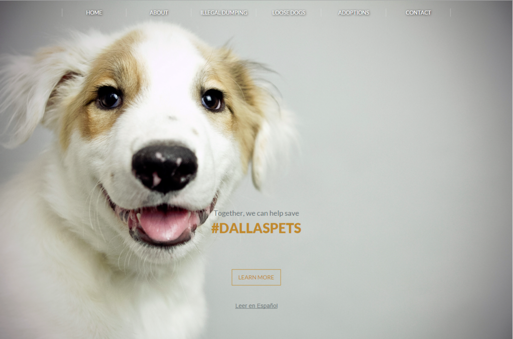 View DallasPETS.org