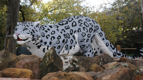 Artist Sean Kenney’s elaborate LEGO® brick sculptures arrive at Dallas Zoo