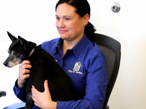 Dr. Catherine McManus - Dallas Animal Services