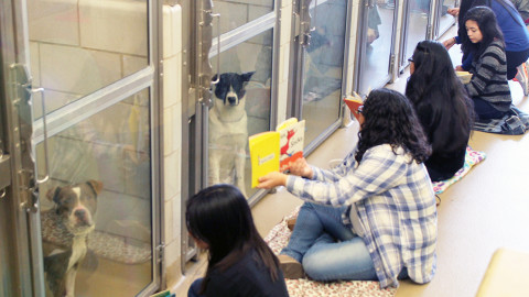 Kids read to dogs through new Dallas Animal Services program