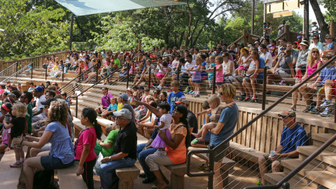 Dallas Zoo will continue to be gun free