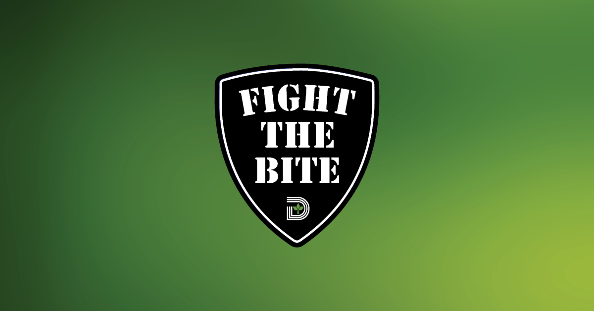 Fight The Bite: Mosquito Prevention in Dallas - Dallas City News