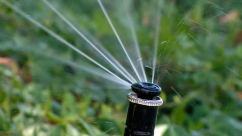 Dallas one of five cities named “Most Water Wise”
