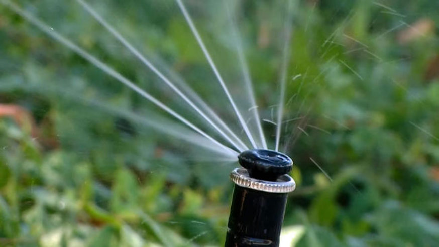 Record heat increases water demands