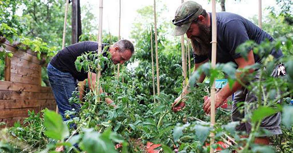 Veteran Urban Farm | City of Dallas