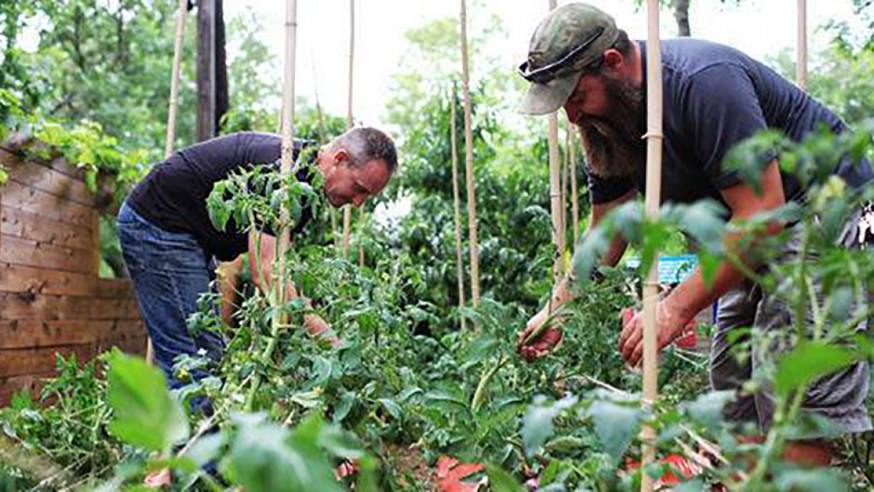 City parking lot may become urban farm for veterans