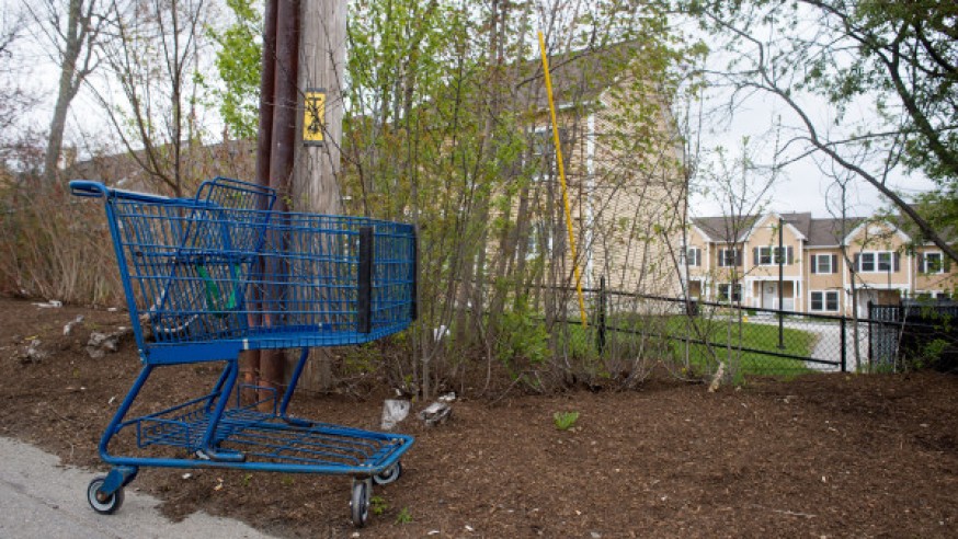 On the Agenda: Council will consider shopping cart enforcement ordinance