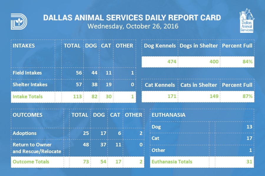 Dallas Animal Services daily data report | City of Dallas
