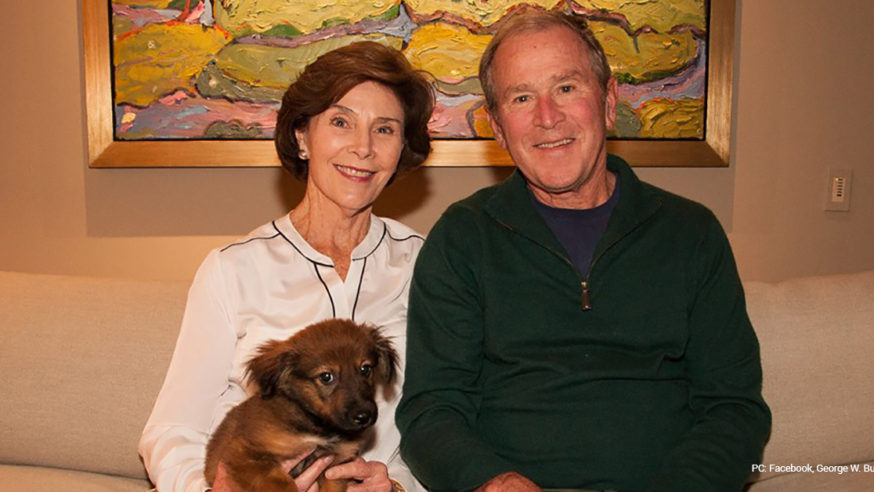 George W. Bush saves puppy found by City of Dallas Code Inspector