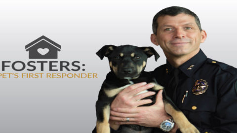 City of Dallas launches new foster program for first responders