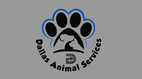 City names new Director of Dallas Animal Services