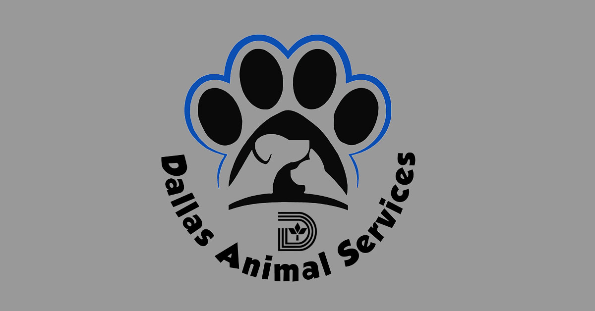 City names new Director of Dallas Animal Services - Dallas City News
