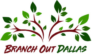 Branch Out Dallas Logo
