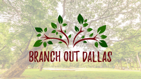 Registration Opens for the 2022 Branch Out Dallas Tree Giveaway Program