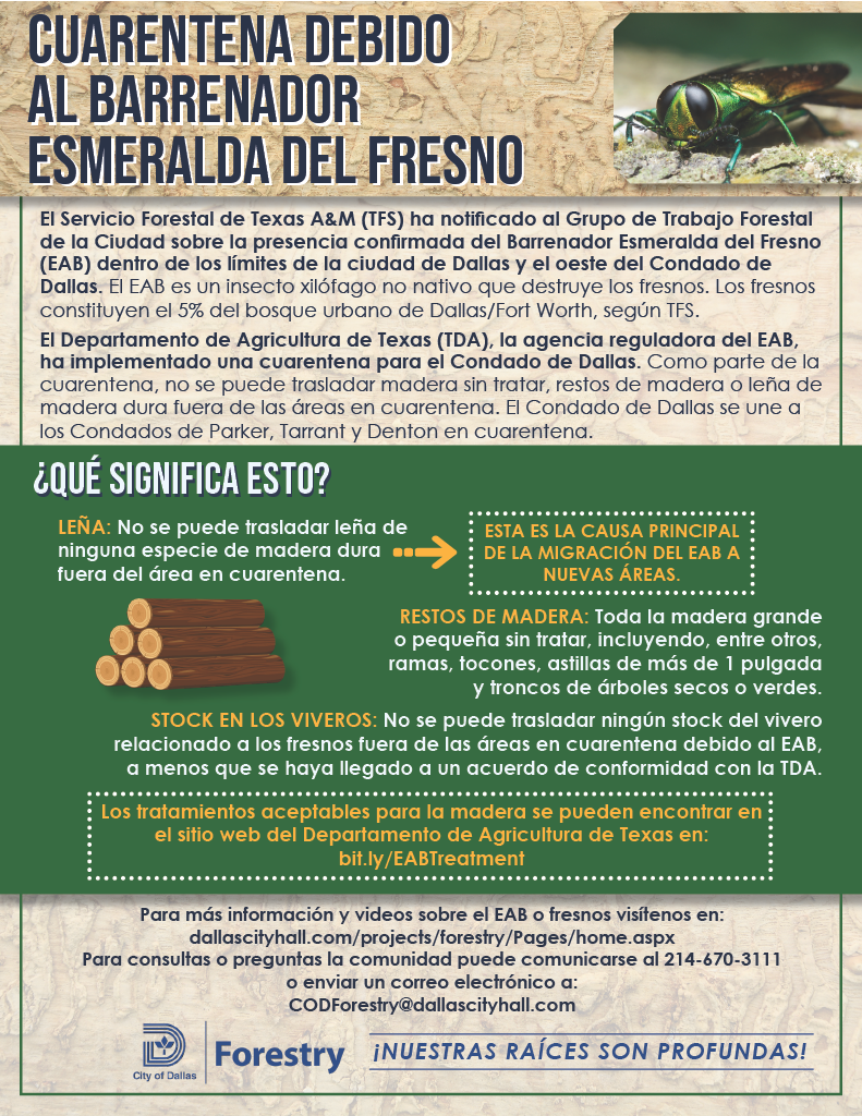FINAL_Forestry_EABQuarantine_Flyer_Spanish_V21024_1